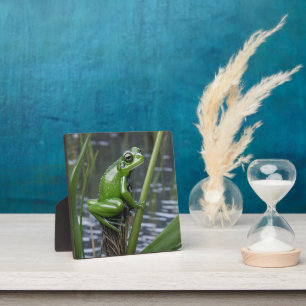 "Crystal Clarity: Green Glass Frog on River Reeds" Fotoplatte