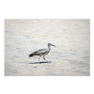 Crystal Cove Staat Park Fotodruck