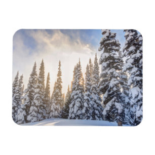 Crystal Mountain Ski Resort, nahe dem Berg Rainier Magnet