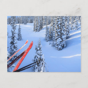 Crystal Mountain Skigebiet, nahe Mt. Rainier 2 Postkarte