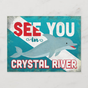 Crystal River Dolphin - Retro Vintage Travel Postkarte