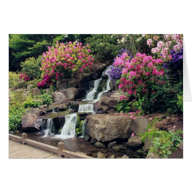 Crystal Springs Garden 2 (Devant horizontal)