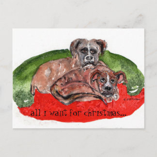CS. 80 Aquarellmalerei Weihnachtsjungen Postkarte