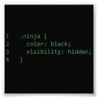 CSS Coding Ninja