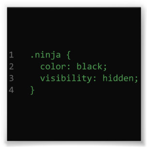 CSS Coding Ninja Fotodruck