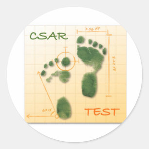 CTF FTE RUNDER AUFKLEBER