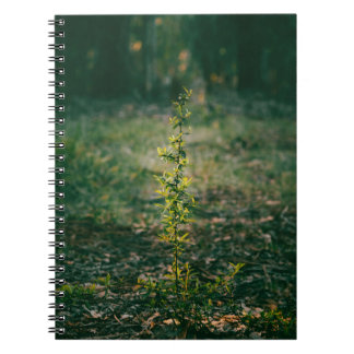 Cuaderno con fotografía de naturaleza notizblock