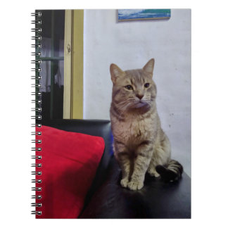 Cuaderno de fotos 16,5 x 22 cm; 80 paginas notizblock