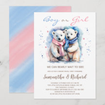 Cub Bear Polar Bär Thema Winter Gender Reveal