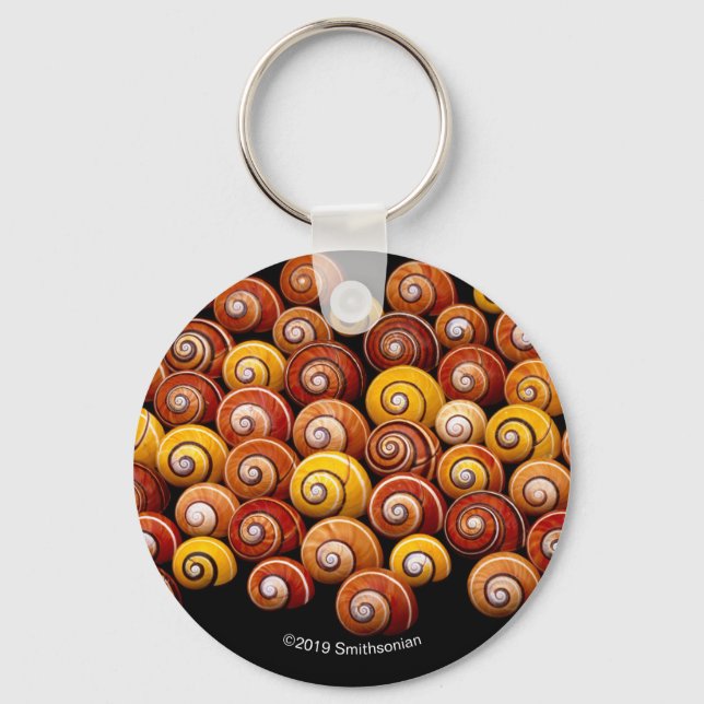 Cuban Tree Snails Schlüsselanhänger (Vorderseite)