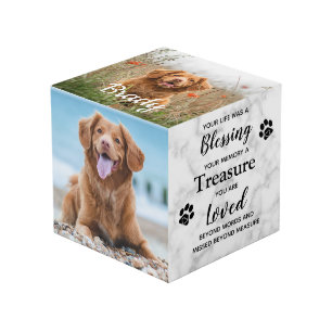 Cube Photo Bienheureux trésor Sympathie animal de compagnie 