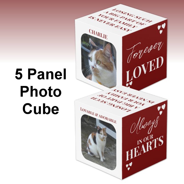 Cube Photo Cat Sympathy Keepsaké Pet Memorial maroon photo (Créateur téléchargé)