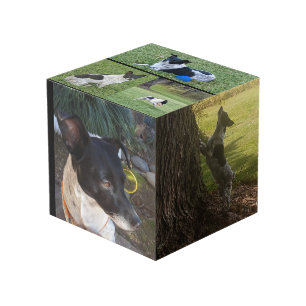 Cube photo customisé