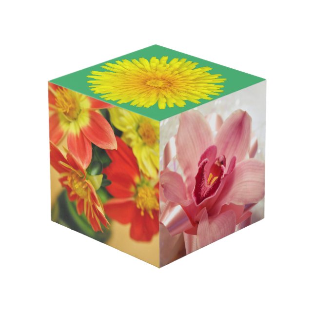 Cube Photo Jardin sur une boîte (Angle arrière)