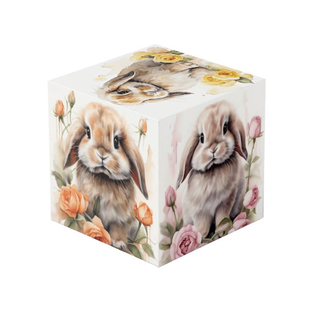 Cube Photo Lapins lapins de lapins de lapin de rose Lop (Angle arrière)