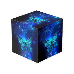 Cube Photo Morpho Butterfly in the Dark Background