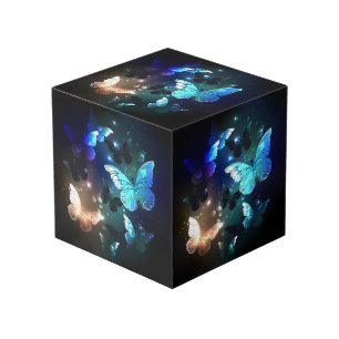 Cube Photo Papillon de nuit