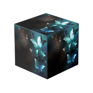 Cube Photo Papillons de nuit