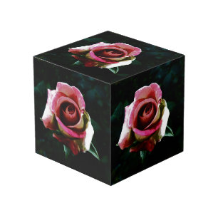 Cube Photo rose