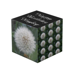 Cube Photo Semence Dandelion Fleur personnalisée