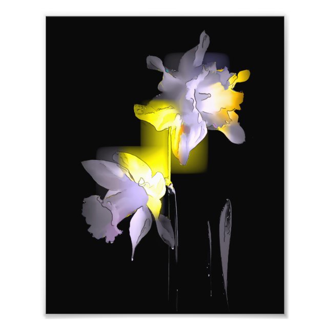 Cubist Daffodils Fotodruck (Vorne)