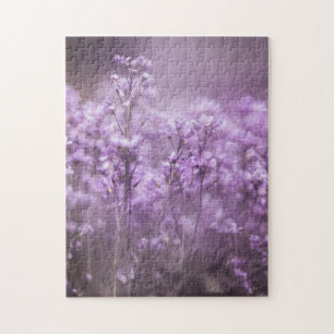 Cuckoo Blume Nature Foto