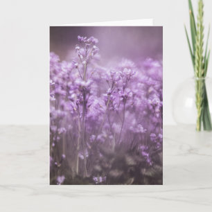 Cuckoo Blume Nature Foto Karte
