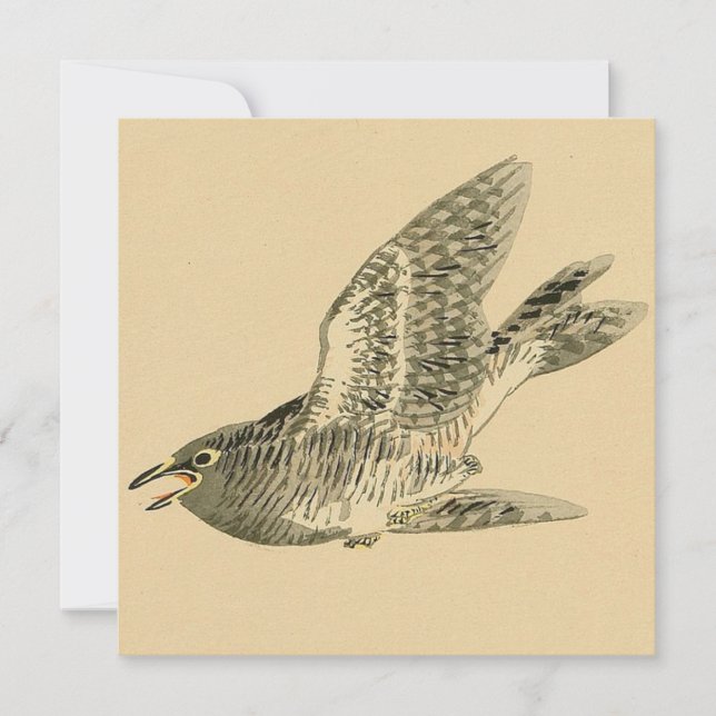 Cuckoo (japanische Kunst) (von Kono Bairei) Karte (Vorderseite)