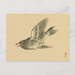 Cuckoo (japanische Kunst) (von Kono Bairei) Postkarte