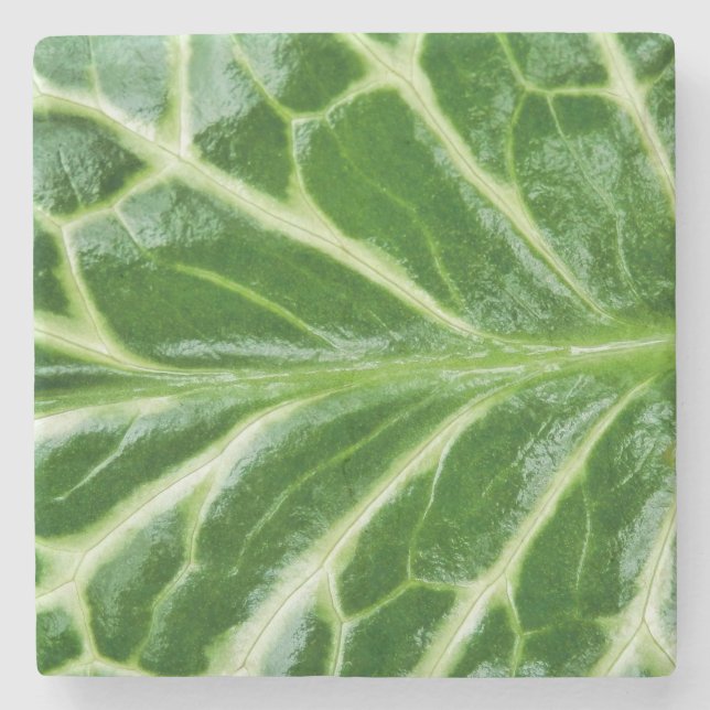 Cuckoo Pint Pflanze Steinuntersetzer (Vorderseite)