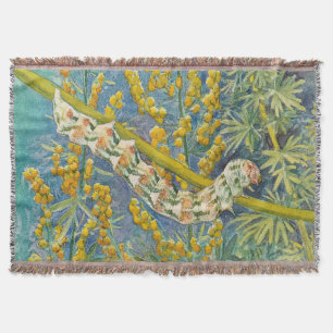 Cucullia Absinthii Wormwood Raupe Decke