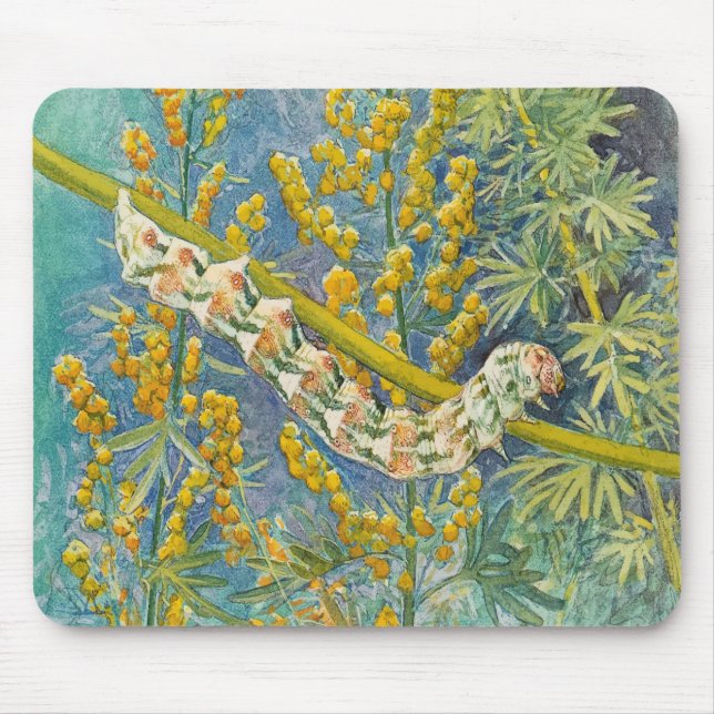 Cucullia Absinthii Wormwood Raupe Mousepad (Vorne)