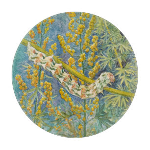Cucullia Absinthii Wormwood Raupe Schneidebrett