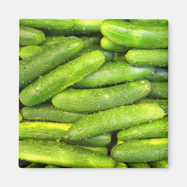 Cucumber Magnet 01 (Vorne)