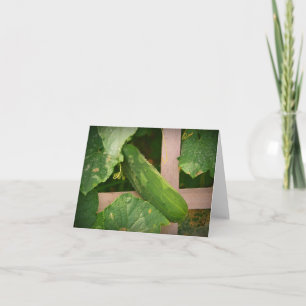 Cucumber Notecard Karte
