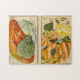 Cucurbita pepo - Seikei Zusetsu