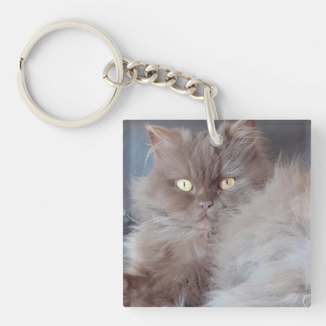 Cudded Chat Acrylglasring Schlüsselanhänger (Vorderseite)