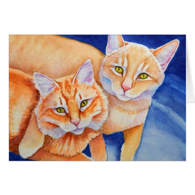 Cuddin de Tabby Orange (Devant horizontal)