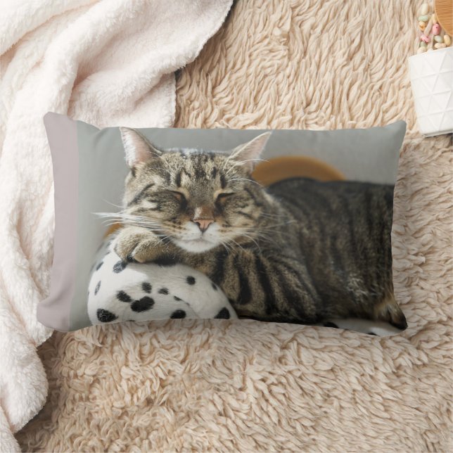 CUDDLE CUDLE BOYFRIEND TABBY COUSSINS (Couverture)