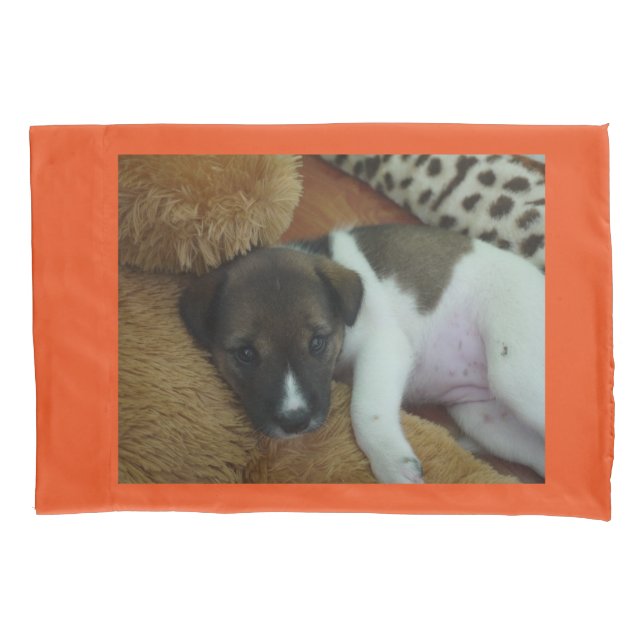 Cuddle Puppy Kissenbezug (Vorderseite)