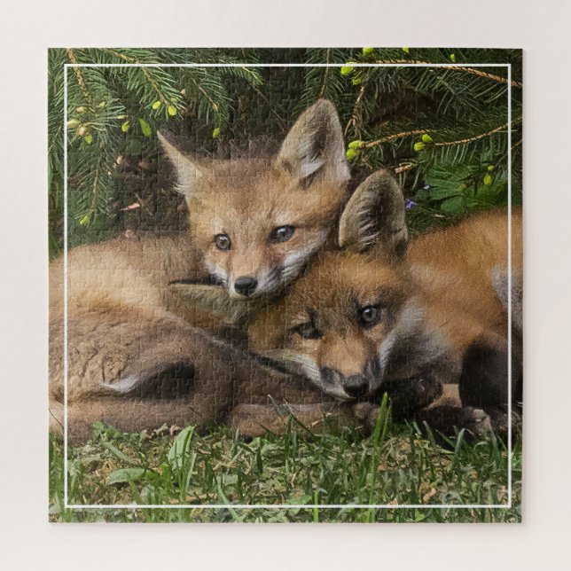 Cuddling Fox Kits (Vertikal)