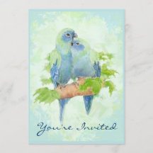 Cuddling Tropical Parrot Hochzeitstag