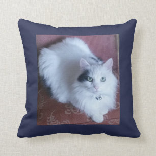 Cuddly langhaariges niedliches Sofa der weißen Kissen