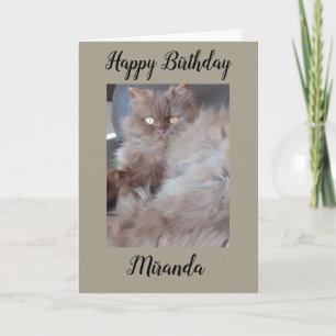 Cudly Cat Birthday Card Karte