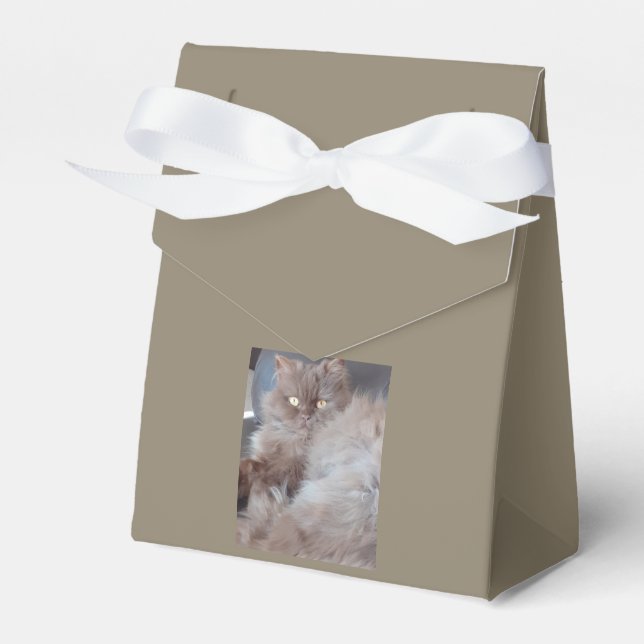Cudly Cat Geschenkschachtel (Vorderseite)