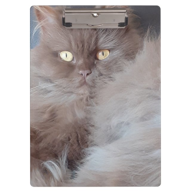 Cudly Cat Klemmbrett (Vorderseite)