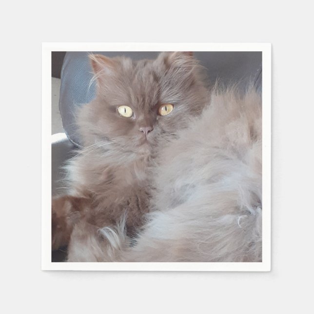 Cudly Cat Paper Napkin Serviette (Vorderseite)