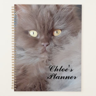 Cudly Cat Planer