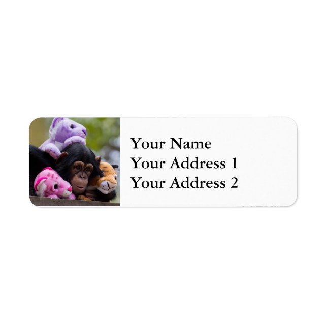 Cudly Chimp & Animal Friends (Vorne)
