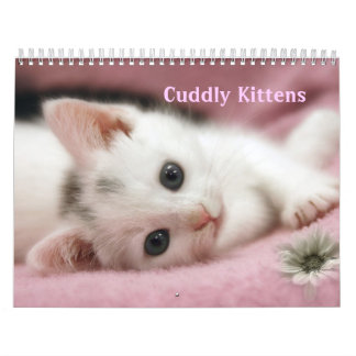 Cudly Kittens Calendar Kalender